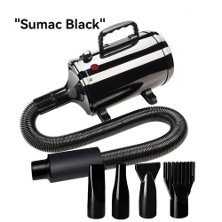 GREEN SCENIC Professional Pet Hair Dryer/pet Dryer - Stepless Speed Regulation, 4 Nozzles, Super Quiet, Safe for Pet Grooming/car Wash (Black)