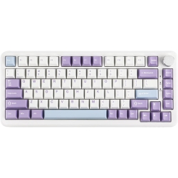 AJAZZ Ak820 Max He Hall Effect Magnetic Gaming Keyboard, Adjustable Actuation, 8Khz Polling Rate, Wired Rapid Fast Keyboard, Creamy Gasket, RGB