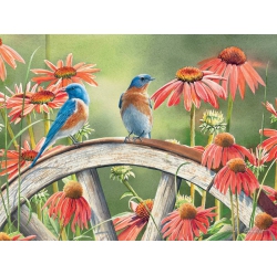 HTL Puzzle Hiding In Plain Sight 500 PC