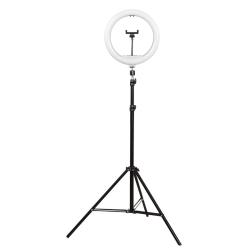 THE WAY Fill Light Live Broadcast Internet Celebrity Anchor Beauty 10 Inch Folding Tripod Bracket Mobile Phone Led Ring Light 10 Inch Fill Light +