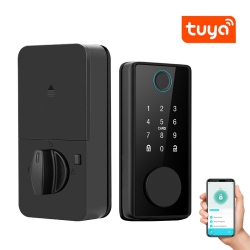 THE WAY Tuya Smart Door Lock, Wooden Door Fingerprint Lock, Auxiliary Lock, Card Swipe Password Locktongtong Lock-Bluetooth = Fingerprint Password