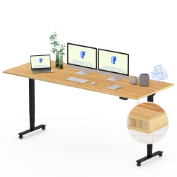 FLEXISPOT Dual-Motor 3-Stage Electric Standing Desk With 78X30 Inch Bamboo Desktop And Frame Heavy-Duty Height Adjustable Design In Black