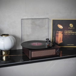 THE WAY Vinyl Record Player Retro Portable Phonograph 33/45/78 Rpm Turntable Vinyl Record Bluetooth 5.3 Speaker, Wireless Bluetooth + Ruby Stylus +