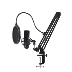 THE WAY Computer Microphone Live Broadcast Condenser Mic Novel Video Sound Card Radio Dubbing Microphone Recording Studio Equipment Podcast - Bm700