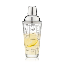 TRUE Glass Cocktail Shaker With Cocktail Recipes, Clear Glass Shaker With Strainer, 13.5 OZ