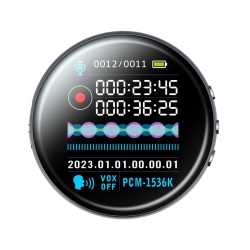 THE WAY Color Screen Mp3 HD Noise Reduction Ai Intelligent Voice Control Recorder, E-Book Recorder, E-Book Reader, Fm Radio Screen Display - 64GB