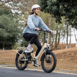 INVANTI Folding Cargo Ebikes, 20"x3.0 Fat Tire E-Bike, 80Km Long Range 1000W Peak Motor, Front Suspension, 7-Speed, Commute Mountain E-Bike