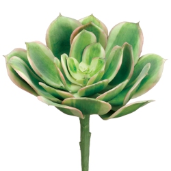 ALLSTATE Echeveria Soft Touch Artificial Floral Pick Spray - 6" - And Pink In Green