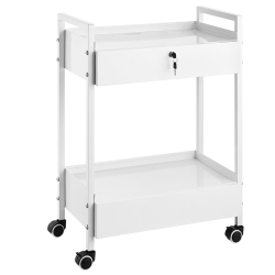 VEVOR 2 Tiers Lab Cart, Stainless Steel Utility Cart, Medical Cart \w 2 Drawers, Rolling Lab Cart Paint, Serving Cart \w Swivel Casters For