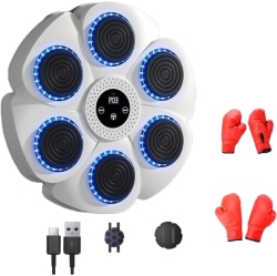 GREEN SCENIC Wall-Mounted Boxing Mat, Household Boxing Wall Target, Boxing Target, Bluetooth Music - White, \w A Pair Of Gloves for Children And