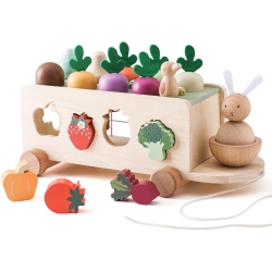 GREEN SCENIC Wooden Bungee Cord Carrot Car Toy Set - Educational Building Blocks for Toddlers And Kids, Fun Learning Games, Durable And Safe, Perfect