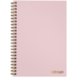 PUKKA PAD , Carpe Diem Single Subject Spiral Bound B5 Notebooks, 80 Sheets College Ruled Lined Paper With Perforated Edges, 7 X 10In, Ballerina
