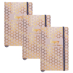PUKKA PAD , Haze A5 Journal, 8.2 X 5.11In, Notebook With Elasticated Closure, Beige, 3, Pack