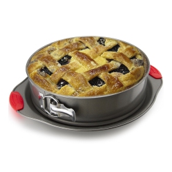 BOXIKI KITCHEN 10 Inch Nonstick Springform Pan, Professional Spring Form And Cheesecake Baking Mold, Leakproof Cake Pan