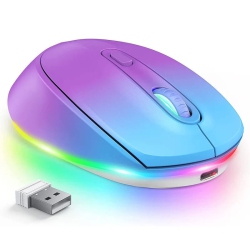 THE WAY 2.4G Wireless Rainbow Mouse 1600Dpi Ergonomic RGB Rechargeable Computer Mouse Office Ultra-Quiet Click Led Rainbow Light-Color