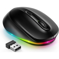 THE WAY 2.4G Wireless Rainbow Mouse 1600Dpi Ergonomic RGB Rechargeable Computer Mouse Office Ultra-Quiet Click Led Rainbow Light-Black