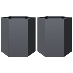 VIDAXL Garden Planter 2 PCs Anthracite Hexagon 46X40X45 Cm Steel