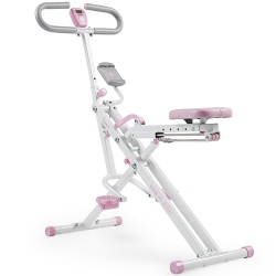 SUNNY HEALTH FITNESS Sunny Health & Fitness Smart Upright Row-N-Ride Exerciser In In Pink