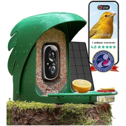 PERCHME Bird Feeder With Camera Forest In Green