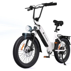 ISINWHEEL U8 Pro Electric Bike for Adults (1000W Motor/ 168Km Range/ 45Km/h Top Speed/7 Speed Gear/20" Step Thru Fat Tire/full Suspension) -