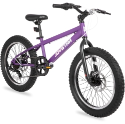 JOYSTAR 20 Inch Mountain Bike for Kids Ages 7-12 Year Old, 7 Speed Shimano Drivetrain, Disc Brakes, Fat Tire Kids Bicycles for Boys Girls In Purple
