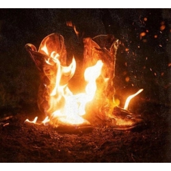 PROVIDENT Ben Fuller - Walk Through Fire [Vinyl Lp]