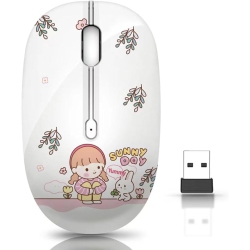 GENERIC Wireless Mouse With Nano Receiver for PC, Laptop, Notebook, Computer, Macbook, Less Noise, Portable Mobile Optical Mice