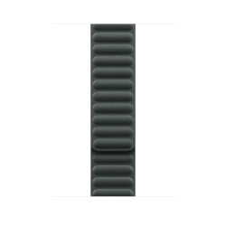 APPLE Watch Band - Magnetic Link (45Mm) - Evergreen - M/l In Multicolor