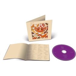 RHINO / PARLOPHONE Talk Talk - The Colour Of Spring [Compact Discs]