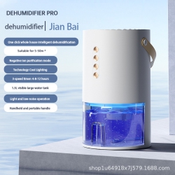 THE WAY New Dehumidifier Household High-Power Small Dehumidifier Bedroom Living Room Mini Dehumidifier Plum Rain Returns to The South Day - American