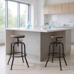 HOMY CASA Set Of 2 Lab High Bar Stools With Ergonomic Support And Adjustable Height for Laboratory Workstations, Research Benches And Science Labs