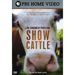 PUBLIC BROADCASTING The Standard Of Perfection: Show Cattle
