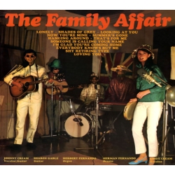 MORGAN BLUE TOWN Family Affair - Family Affair - [CD]