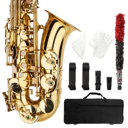 KARL HOME Alto Drop E Paint Saxophone Paint for Beginner In Gold