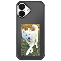 Incase Transfer E-Display Fitted Hard Shell Case with MagSafe for iPhone 17 - Black