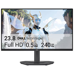 Dell 24