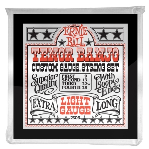 Ernie Ball P02306 Light Loop End Stainless Steel Tenor Banjo Guitar Strings