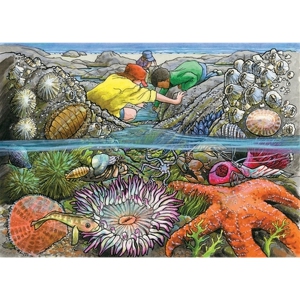 Cobble Hill Exploring the Seashore Jigsaw Puzzle, 35-Piece Tray Puzzle