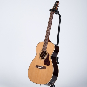 Seagull Coastline Momentum Acoustic-Electric Guitar