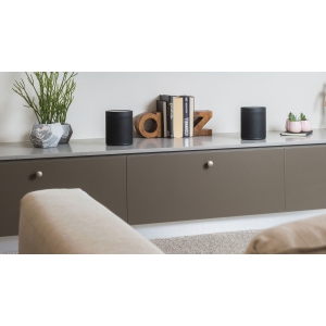 Yamaha MusicCast 20 WX-021 Wireless Speaker (Black) | Best Buy Canada