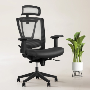ErgoChair Executive Home Office Desk Chair with Lumbar Support 4D Armrest Adjustable Task Chair - Black