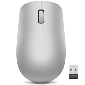 Lenovo 530 Wireless Mouse (Platinum Grey)