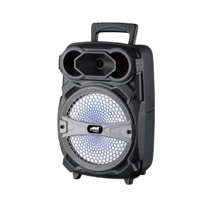 Naxa NDS-8004 Portable 8″ Bluetooth Karaoke Speaker w/ LED Lighting Effects - Black/Gray