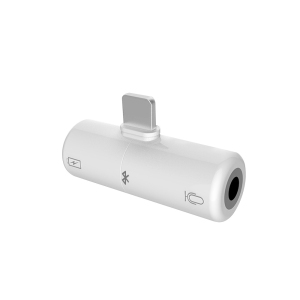 3.5mm Audio + Lightning Charge 2 in 1 for iPhone Adapter Headphone Jack Converter 13 12 11 XR XS X 8 7 Splitter Dual AUX Dongle - White