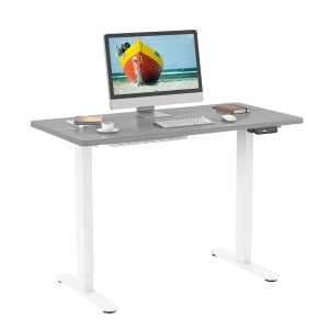 SHOPPINGALL Dual Motor Height Adjustable Electric sit to Standing Desk 48 x 24 Inch Tabletop, 3 Memory Preset Button Controller - SA-GHED122D-1P (White-Gray)