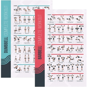FitMate 8 Pack Workout Exercise Poster Bundle - Dumbbell, Barbell, Bodyweight, Yoga, Stretching, Stability Ball, Resistance Bands, Kettlebell | Home Gym Decor, Room Guide (20 x 30 Inch)