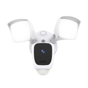 Eco4Life Floodlight Camera