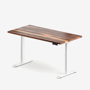 burotic Solid Wood Sit-Stand Desk – Electric Height Adjustable with Dual Motor – Solid Walnut Top – White Frame – 24" x 48"