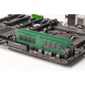 Crucial 64GB (2 x 32GB) DDR4 SDRAM Memory Kit (CT2K32G4DFD832A