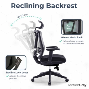 MotionGrey Cloud Mesh Series Executive Ergonomic Computer Desk Home Office  Chair with 4D Armrest & Lumbar Support - Black